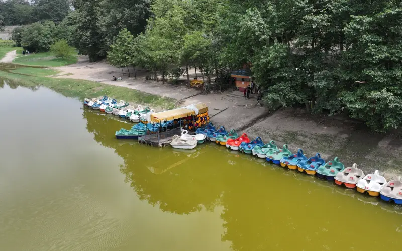 pedal-boat-sport-activity.webp قایق سواری پدالی - تصویر 1