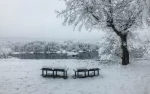 مجموعه تاریخی عباس آباد - تصویر 3