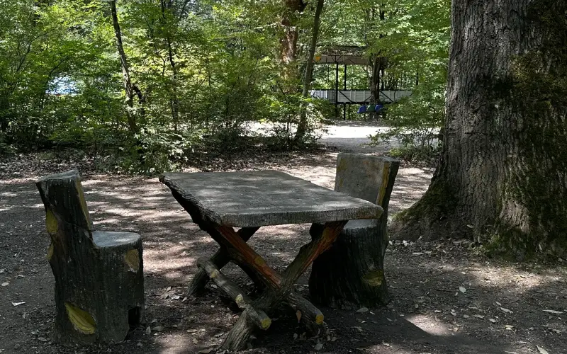 hashemi-nejad-camp-outdoor-bbq-gazebo آلاچیق - تصویر 1
